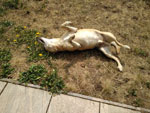 Photos