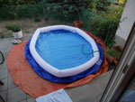 Photos