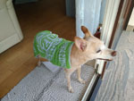 Photos