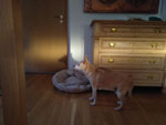 Photos