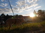 Photos
