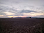 2018-08-12_20-50-52_IMG_20180812_205052_HDR.jpg