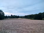 2018-08-12_20-58-00_IMG_20180812_205801_HDR.jpg