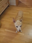 2018-08-15_21-46-11_P1260107.jpg