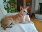 Photos