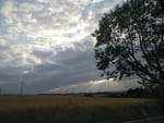 Photos