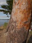 2018-09-03_16-58-34_P1270861.jpg