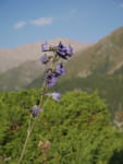 2018-09-08_17-36-04_P1280967.jpg