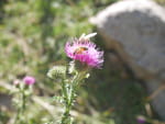2018-09-18_14-10-46_P1300627.jpg