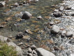 2018-09-18_14-29-54_P1300656.jpg