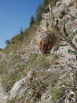 2018-09-18_15-56-18_P1300778.jpg