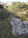 2018-09-19_09-04-38_P1310049.jpg