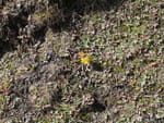 2018-09-19_10-53-50_P1310119.jpg
