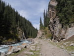 Photos