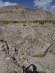2018-09-28_10-54-15_P1330841.jpg