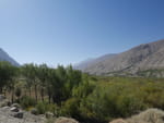 2018-09-29_10-52-24_P1340281.jpg