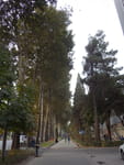 2018-10-04_16-51-32_RIMG4880.jpg