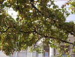 2018-10-05_15-00-21_P1350303.jpg