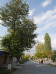 2018-10-09_16-06-38_P1350689.jpg
