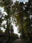 2018-10-09_16-27-15_P1350746.jpg