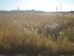 2018-10-17_15-56-42_RIMG5104.jpg