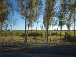2018-10-17_16-12-29_RIMG5111.jpg