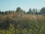 2018-10-17_16-19-01_RIMG5118.jpg