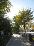 2018-10-22_13-59-23_P1390724.jpg