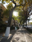 2018-10-22_14-04-22_P1390727.jpg