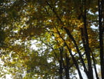 2018-10-22_14-13-56_P1390741.jpg