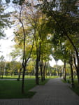 2018-10-22_15-11-46_P1390867.jpg