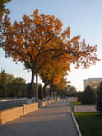 2018-10-22_15-58-16_P1390953.jpg