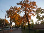 2018-10-22_16-04-48_P1390956.jpg