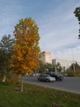 2018-10-23_15-23-57_P1400240.jpg