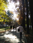 2018-10-24_11-39-57_IMG_20181024_113957.jpg