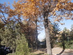 2018-10-25_14-04-42_P1400264.jpg