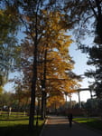 2018-10-25_14-32-26_P1400329.jpg