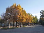 2018-10-25_14-35-00_P1400342.jpg