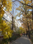 2018-10-26_16-26-44_P1400394.jpg