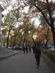 2018-10-26_17-00-34_P1400448.jpg