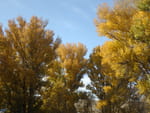 2018-10-27_15-39-12_RIMG5253.jpg
