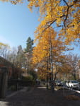 2018-10-29_13-08-33_P1400494.jpg