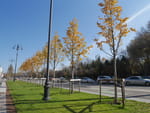 2018-10-29_13-30-08_P1400508.jpg