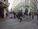 2018-11-03_11-10-31_RIMG5352.jpg