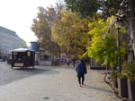 2018-11-03_11-42-29_RIMG5358.jpg