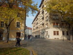 2018-11-03_11-44-55_RIMG5364.jpg