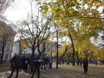 2018-11-03_11-45-24_RIMG5367.jpg