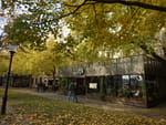 2018-11-03_11-45-28_RIMG5368.jpg