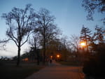 2018-11-04_16-52-33_P1410202.jpg