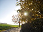 Photos